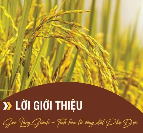 Gạo Làng Giành – TBR 225