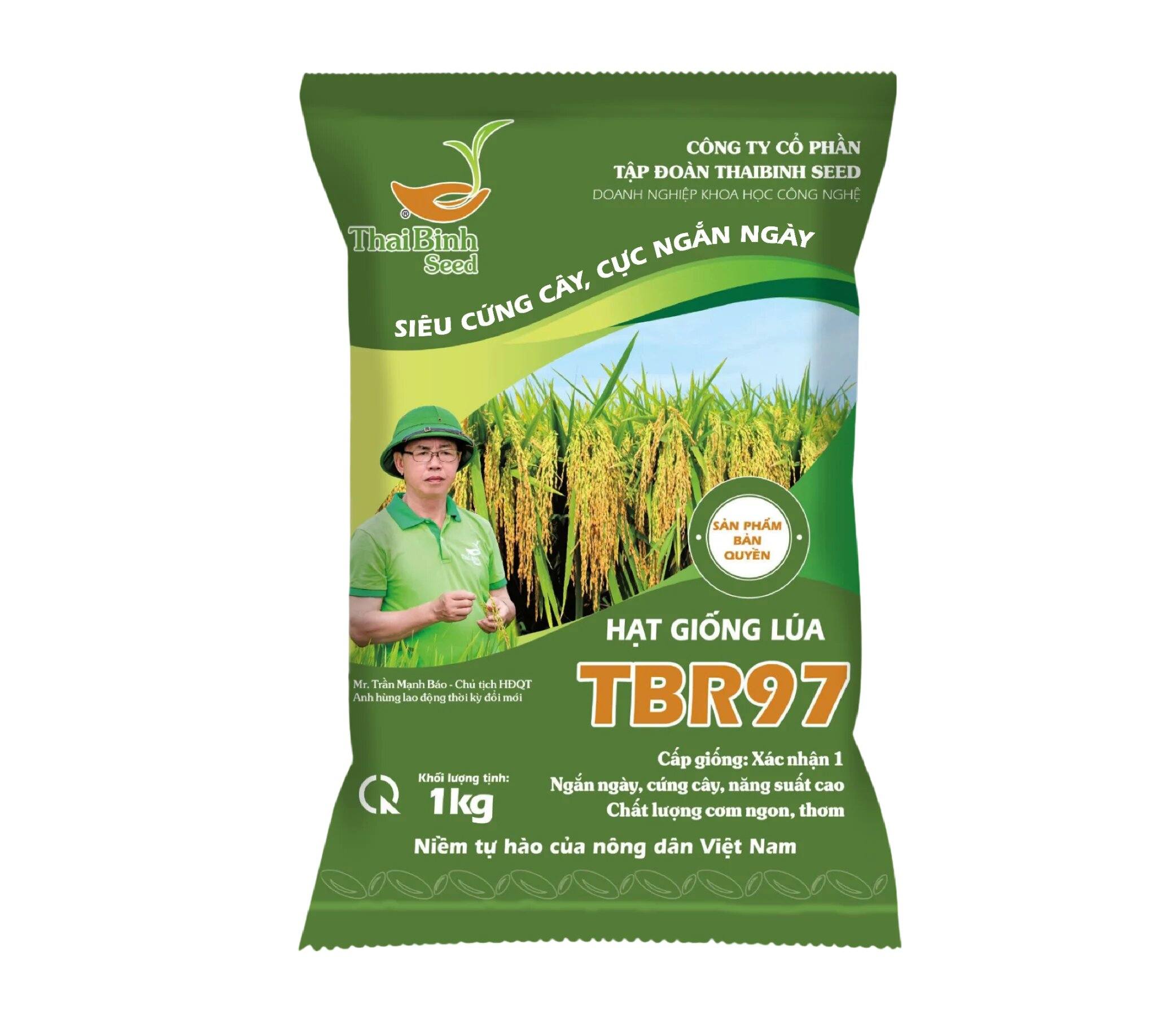 GIỐNG LÚA THUẦN TBR97