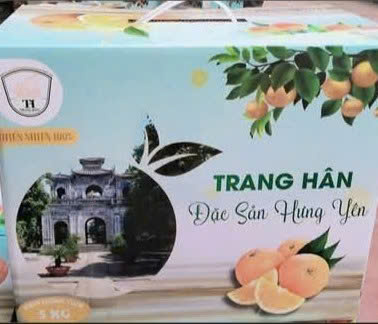 Cam Trang Hân