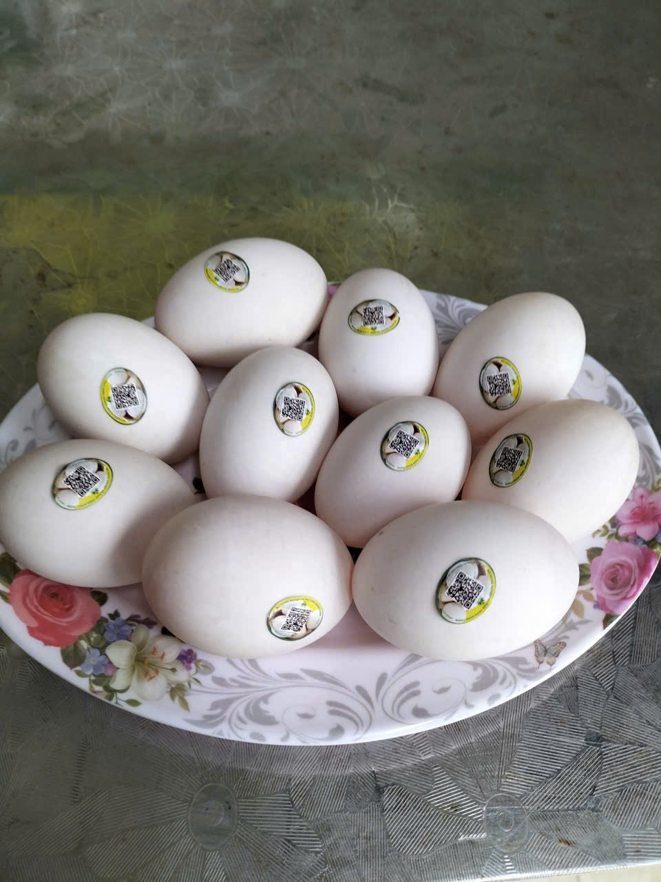 Vịt biển Đông Xuyên & Trứng vịt biển Đông Xuyên