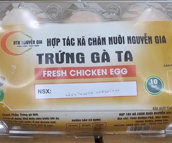 Trứng gà Nguyễn Gia