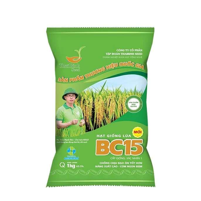 GIỐNG LÚA THUẦN BC15