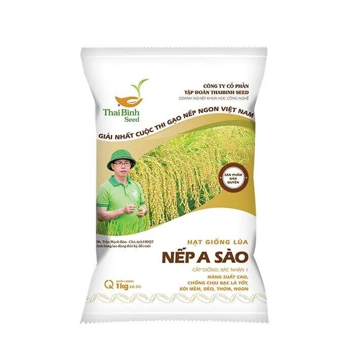 GIỐNG LÚA NẾP A SÀO