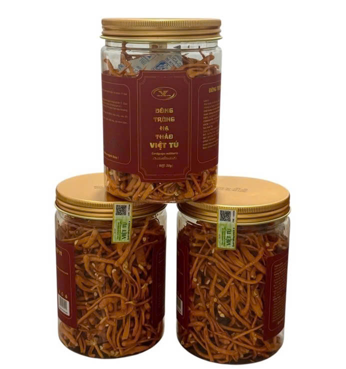 Đông trùng hạ thảo khô lọ 30g Việt Tú