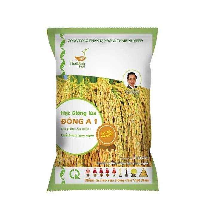 GIỐNG LÚA ĐÔNG A1