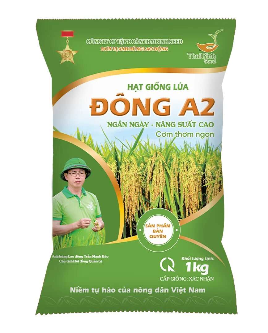 GIỐNG LÚA ĐÔNG A1