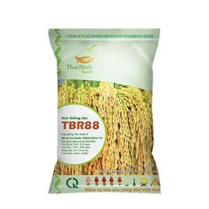 GIỐNG LÚA THUẦN TBR88