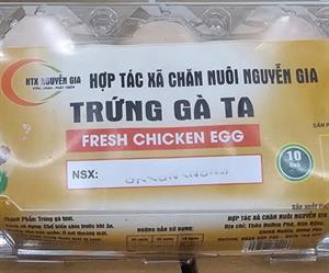 Trứng gà Nguyễn Gia