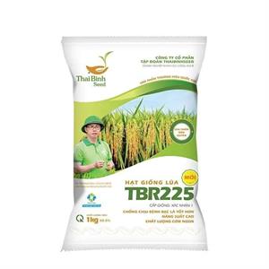 GIỐNG LÚA THUẦN TBR225 MỚI