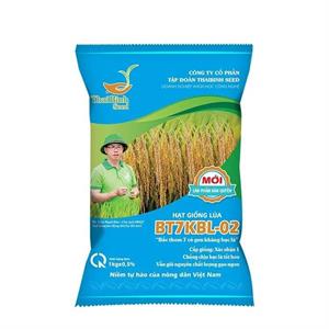 GIỐNG LÚA BT7KBL-02 (Bắc thơm 7 có gen kháng bạc lá)