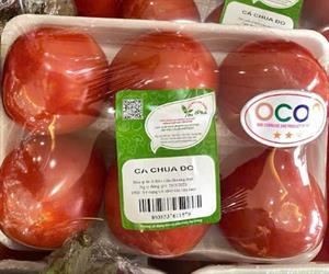 Cà chua