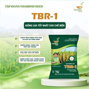 GIỐNG LÚA THUẦN TBR-1