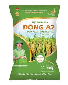 GIỐNG LÚA ĐÔNG A1