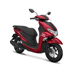 Freego - Tiêu chuẩn - Đỏ đen
